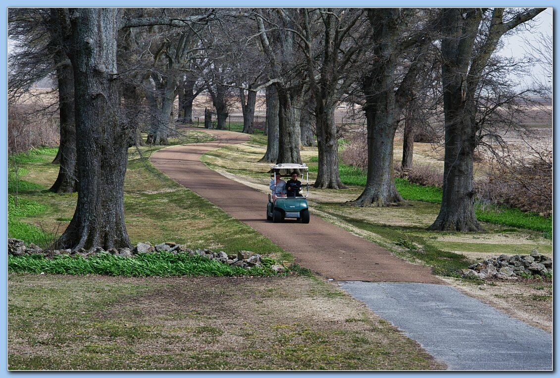 MKO CJO glof cart